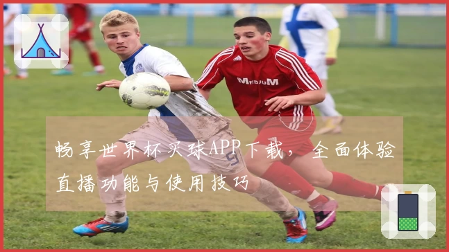 畅享世界杯买球APP下载，全面体验直播功能与使用技巧