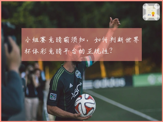 小组赛竞猜前须知，如何判断世界杯体彩竞猜平台的正规性？