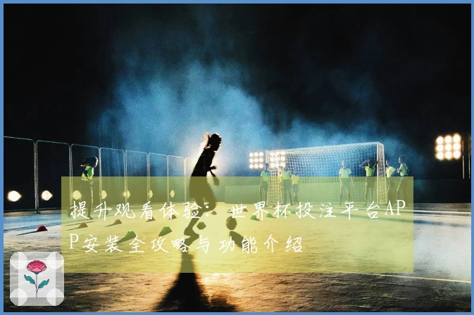 提升观看体验：世界杯投注平台APP安装全攻略与功能介绍