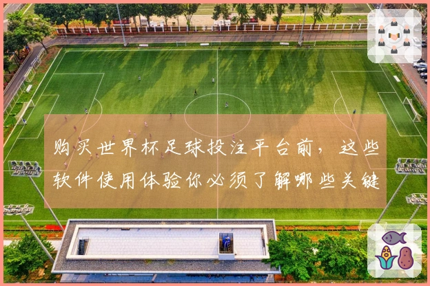 购买世界杯足球投注平台前，这些软件使用体验你必须了解哪些关键点？