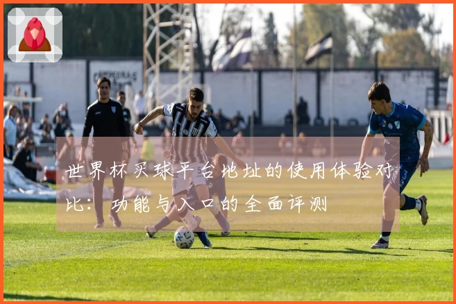世界杯买球平台地址的使用体验对比：功能与入口的全面评测