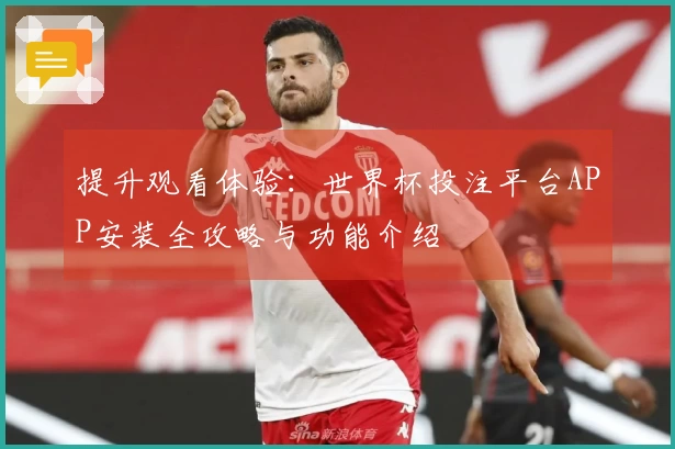 提升观看体验：世界杯投注平台APP安装全攻略与功能介绍