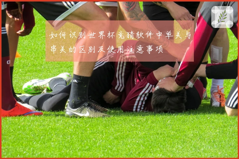 如何识别世界杯竞猜软件中单关与串关的区别及使用注意事项