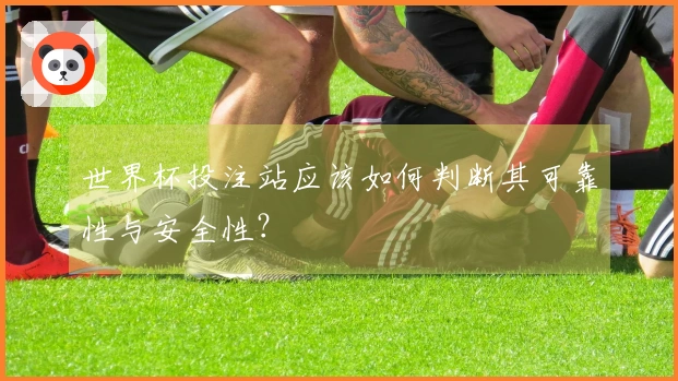 世界杯投注站应该如何判断其可靠性与安全性？