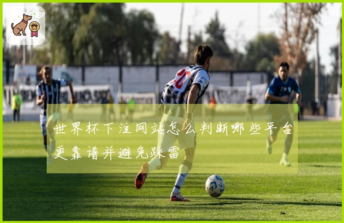 世界杯下注网站怎么判断哪些平台更靠谱并避免踩雷