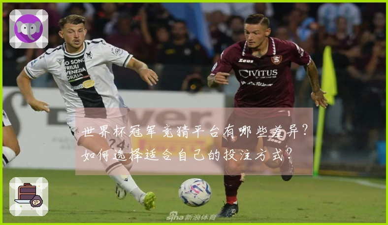 世界杯冠军竞猜平台有哪些差异?如何选择适合自己的投注方式?