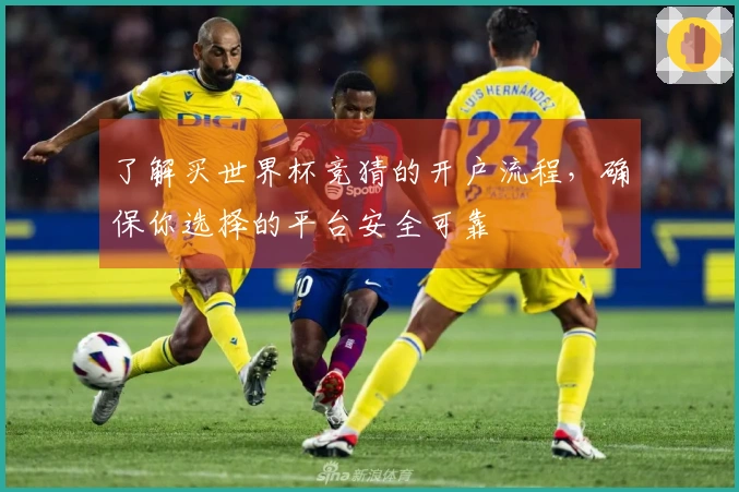 了解买世界杯竞猜的开户流程，确保你选择的平台安全可靠