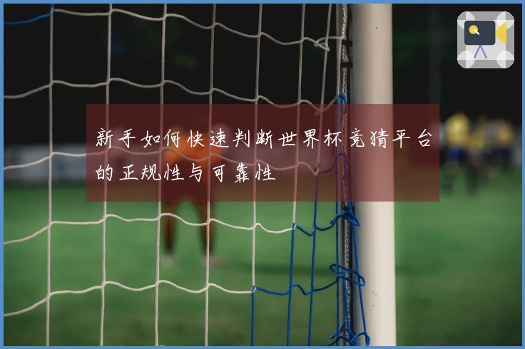 新手如何快速判断世界杯竞猜平台的正规性与可靠性