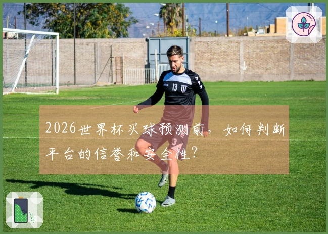 2026世界杯买球预测前，如何判断平台的信誉和安全性？