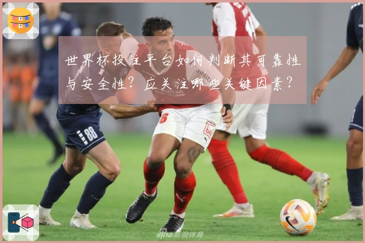 世界杯投注平台如何判断其可靠性与安全性？应关注哪些关键因素？