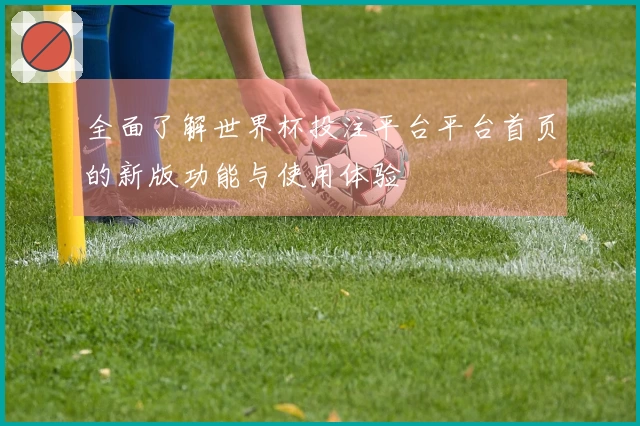 全面了解世界杯投注平台平台首页的新版功能与使用体验