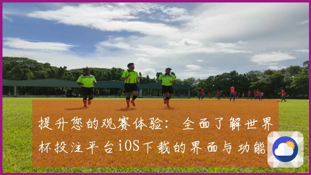 提升您的观赛体验：全面了解世界杯投注平台iOS下载的界面与功能